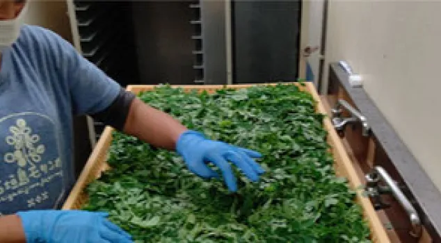 独自の低温乾燥